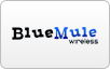 Blue Mule Wireless logo, bill payment,online banking login,routing number,forgot password