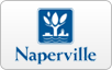 Naperville, IL Utilities logo, bill payment,online banking login,routing number,forgot password