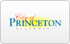Princeton, IL Fees logo, bill payment,online banking login,routing number,forgot password